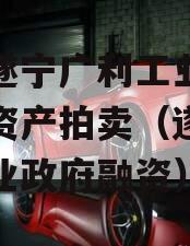四川遂宁广利工业发展特定资产拍卖（遂宁广利工业政府融资）