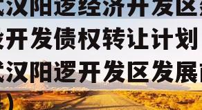 武汉阳逻经济开发区建设开发债权转让计划（武汉阳逻开发区发展前景）