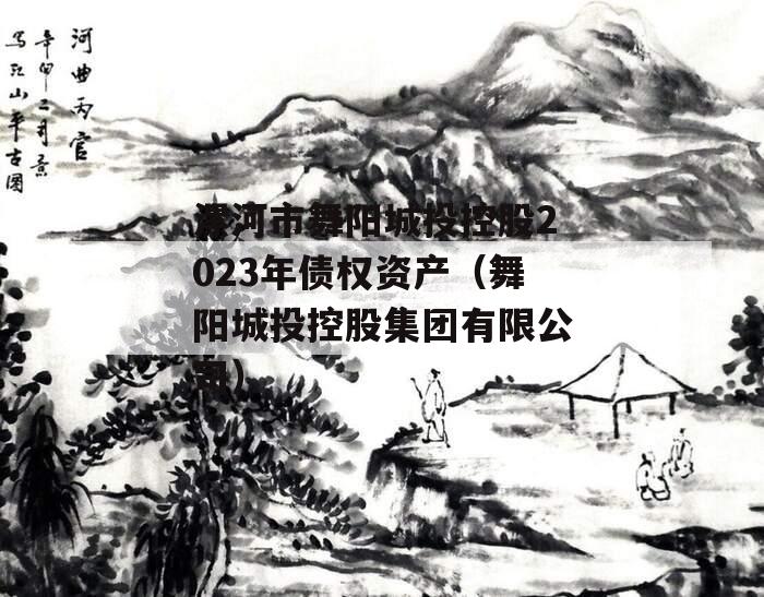 漯河市舞阳城投控股2023年债权资产（舞阳城投控股集团有限公司）