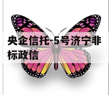 央企信托-5号济宁非标政信