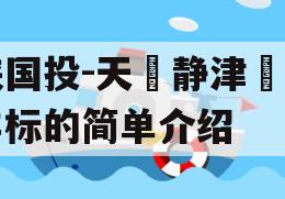 陕国投-天‮静津‬海非标的简单介绍