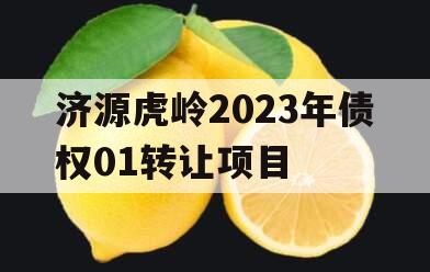 济源虎岭2023年债权01转让项目
