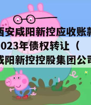 西安咸阳新控应收账款2023年债权转让（咸阳新控控股集团公司）