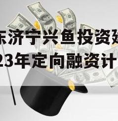 山东济宁兴鱼投资建设2023年定向融资计划