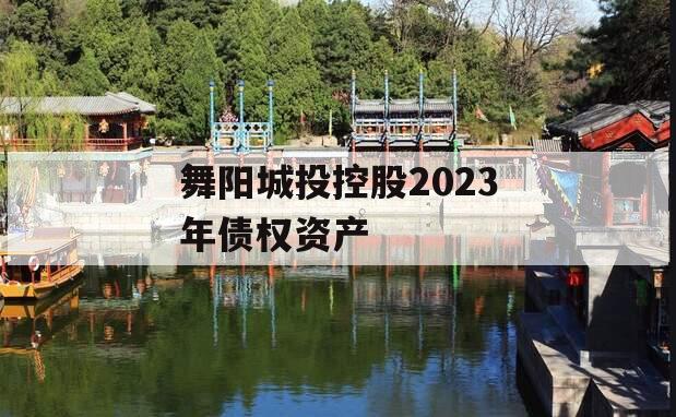 舞阳城投控股2023年债权资产