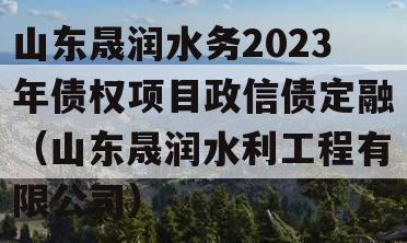 山东晟润水务2023年债权项目政信债定融（山东晟润水利工程有限公司）