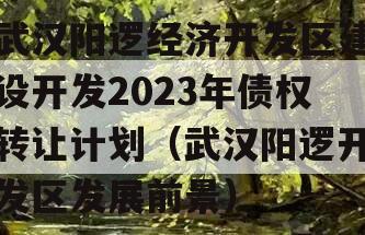 武汉阳逻经济开发区建设开发2023年债权转让计划（武汉阳逻开发区发展前景）
