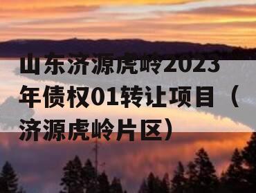 山东济源虎岭2023年债权01转让项目（济源虎岭片区）