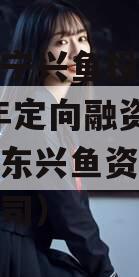 山东济宁兴鱼投资建设2023年定向融资计划（山东兴鱼资本投资有限公司）