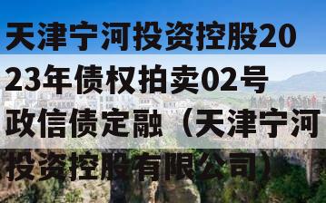 天津宁河投资控股2023年债权拍卖02号政信债定融（天津宁河投资控股有限公司）