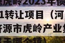 济源虎岭2023年债权01转让项目（河南省济源市虎岭产业集聚区属于哪个镇）