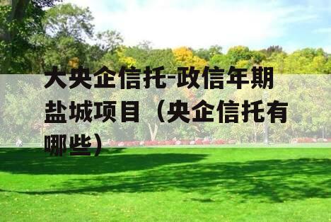 大央企信托-政信年期盐城项目（央企信托有哪些）