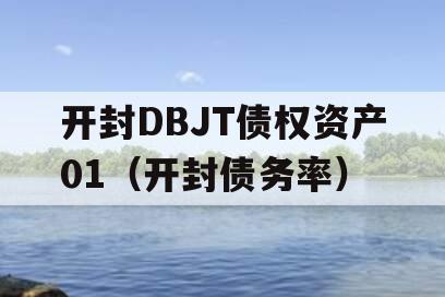 开封DBJT债权资产01（开封债务率）