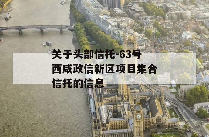 关于头部信托-63号西咸政信新区项目集合信托的信息