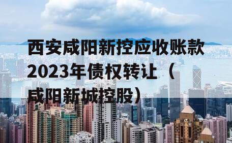 西安咸阳新控应收账款2023年债权转让（咸阳新城控股）