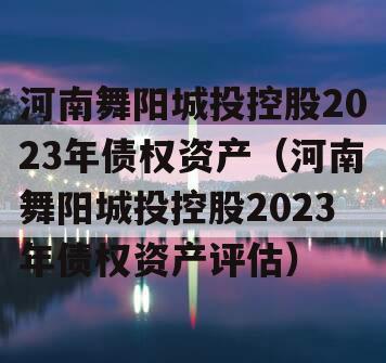 河南舞阳城投控股2023年债权资产（河南舞阳城投控股2023年债权资产评估）
