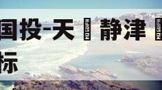 陕国投-天‮静津‬海非标
