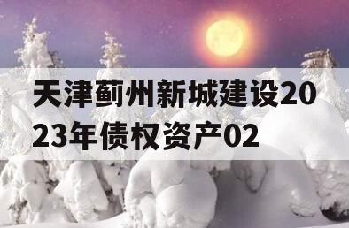 天津蓟州新城建设2023年债权资产02