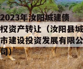 2023年汝阳城建债权资产转让（汝阳县城市建设投资发展有限公司）