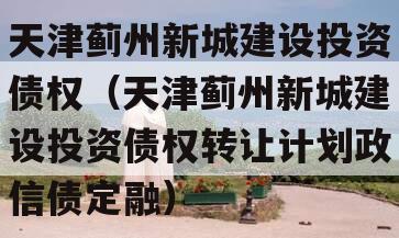 天津蓟州新城建设投资债权（天津蓟州新城建设投资债权转让计划政信债定融）