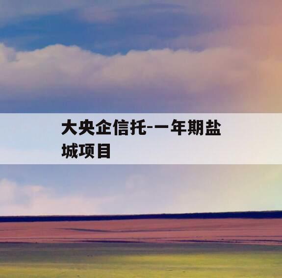 大央企信托-一年期盐城项目