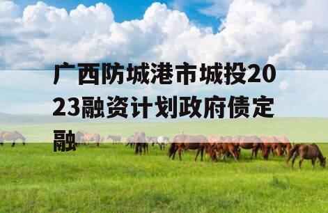 广西防城港市城投2023融资计划政府债定融
