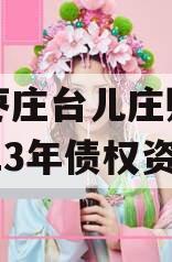 山东枣庄台儿庄财金投资2023年债权资产