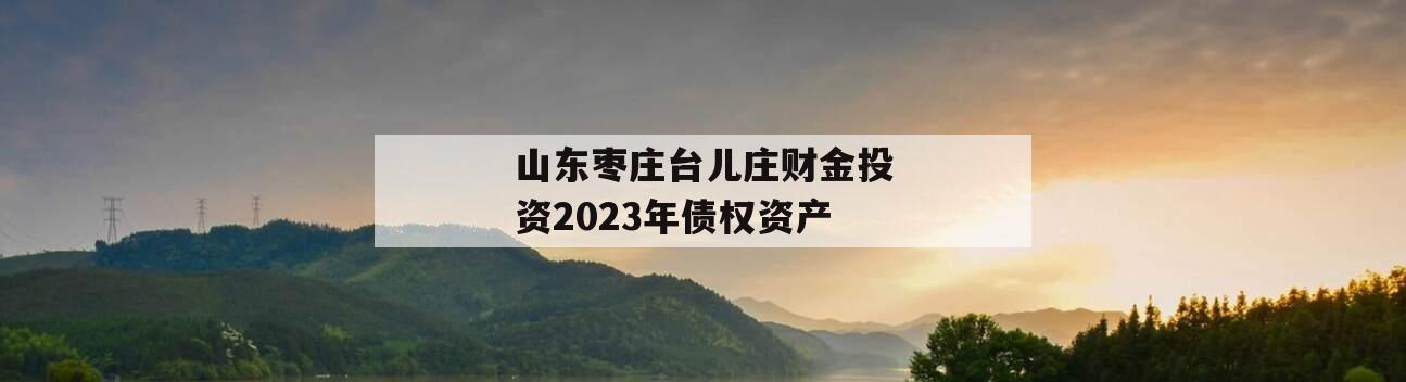 山东枣庄台儿庄财金投资2023年债权资产