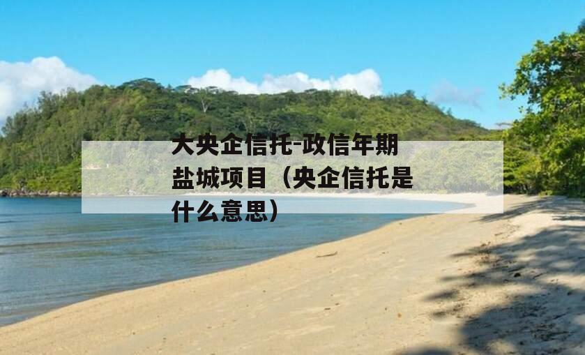 大央企信托-政信年期盐城项目（央企信托是什么意思）