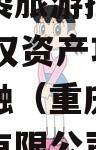 重庆九黎旅游控股2023年债权资产项目政信债定融（重庆九黎旅游控股有限公司）