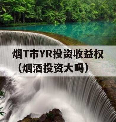 烟T市YR投资收益权（烟酒投资大吗）