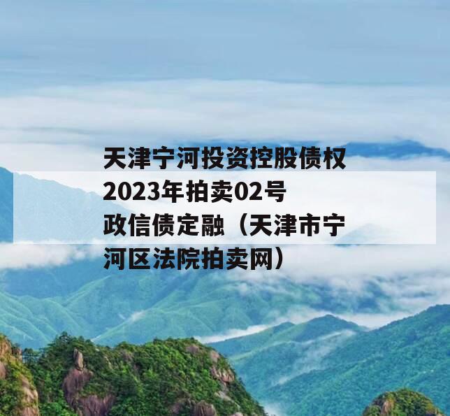 天津宁河投资控股债权2023年拍卖02号政信债定融（天津市宁河区法院拍卖网）