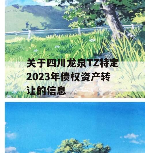 关于四川龙泉TZ特定2023年债权资产转让的信息
