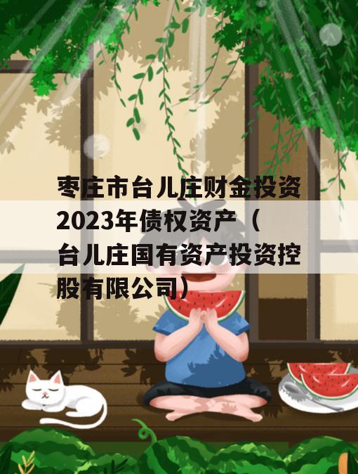 枣庄市台儿庄财金投资2023年债权资产（台儿庄国有资产投资控股有限公司）