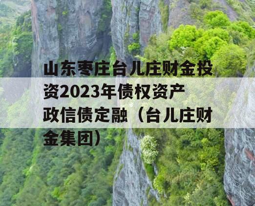 山东枣庄台儿庄财金投资2023年债权资产政信债定融（台儿庄财金集团）