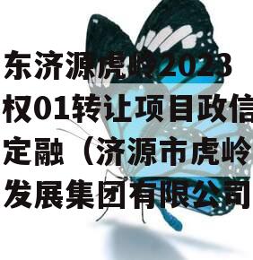 山东济源虎岭2023债权01转让项目政信债定融（济源市虎岭经济发展集团有限公司）