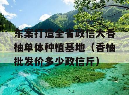 东案打造全省政信大香柚单体种植基地（香柚批发价多少政信斤）