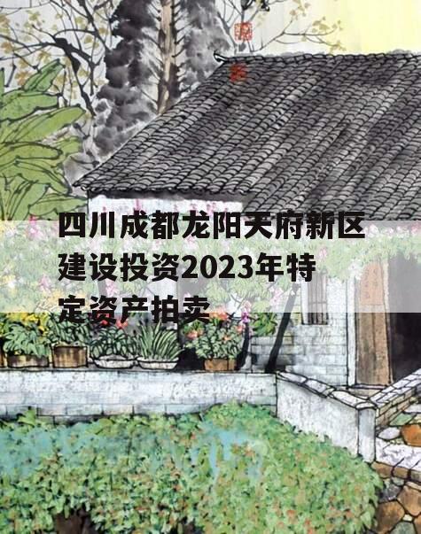 四川成都龙阳天府新区建设投资2023年特定资产拍卖