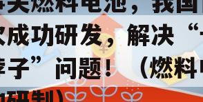 事关燃料电池，我国首次成功研发，解决“卡脖子”问题！（燃料电池研制）