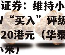 华泰证券：维持小米集团-W“买入”评级目标价20港元（华泰汽车 小米）