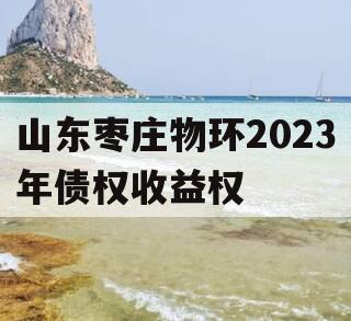 山东枣庄物环2023年债权收益权