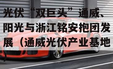 光伏“双巨头”通威、阳光与浙江铭安抱团发展（通威光伏产业基地）