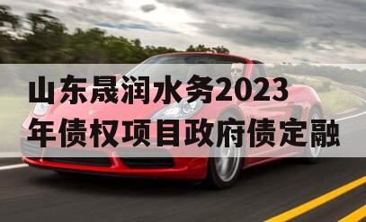 山东晟润水务2023年债权项目政府债定融