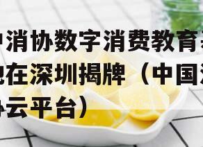 中消协数字消费教育基地在深圳揭牌（中国消协云平台）