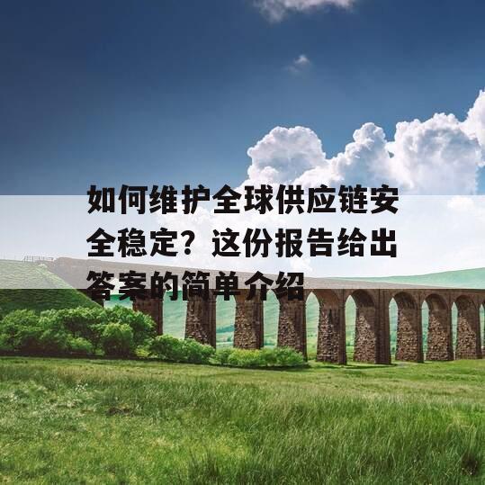如何维护全球供应链安全稳定？这份报告给出答案的简单介绍