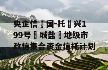 央企信‮国-托‬兴199号‮城盐‬地级市政信集合资金信托计划