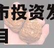 江油城市投资发展债权资产项目