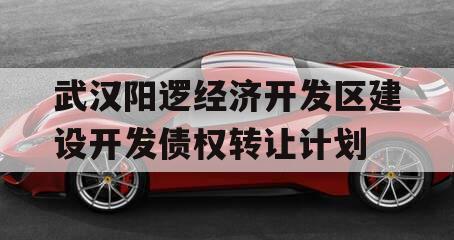 武汉阳逻经济开发区建设开发债权转让计划
