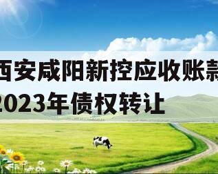 西安咸阳新控应收账款2023年债权转让