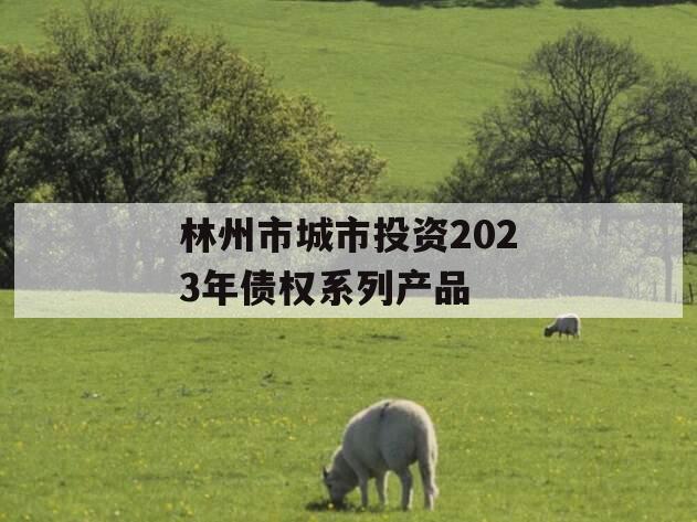 林州市城市投资2023年债权系列产品